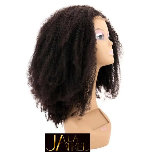 Afro Kinky 4x4 Transparent Closure Wig⭐⭐⭐⭐ Jay La Trel