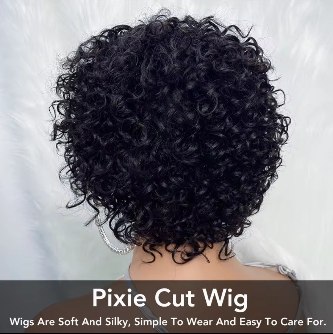 Jay La Trel Short Bouncy Pixie Cut Short Loose Curly Wig Brazilian Hair Wig Fluffy Curls Bob Wig